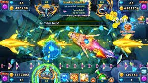 betzoom